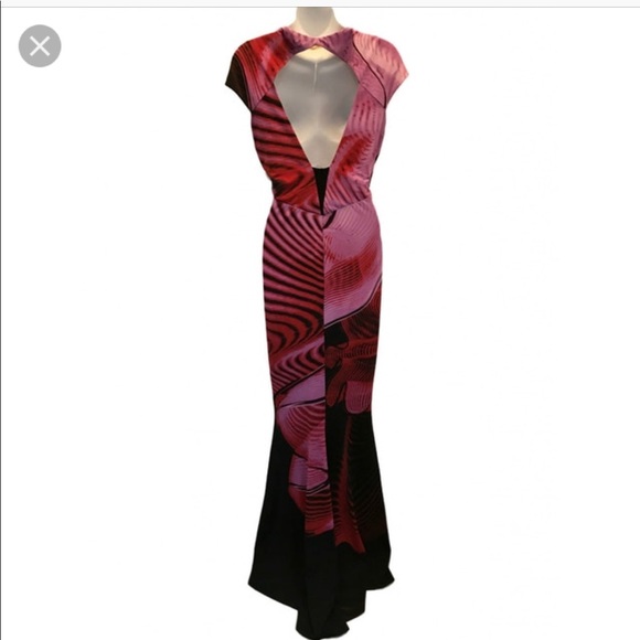 Roberto Cavalli Long Dress - Picture 3 of 7